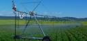 Centre Pivot &amp; Lateral  Move Irrigation Sales  and Advice